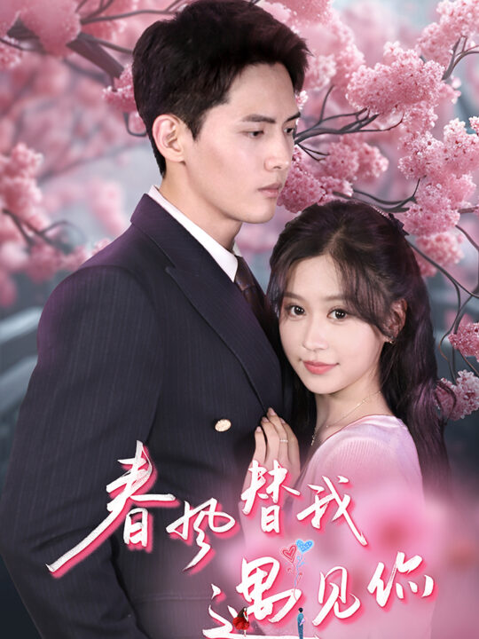 10352-春风替我遇见你(100集)