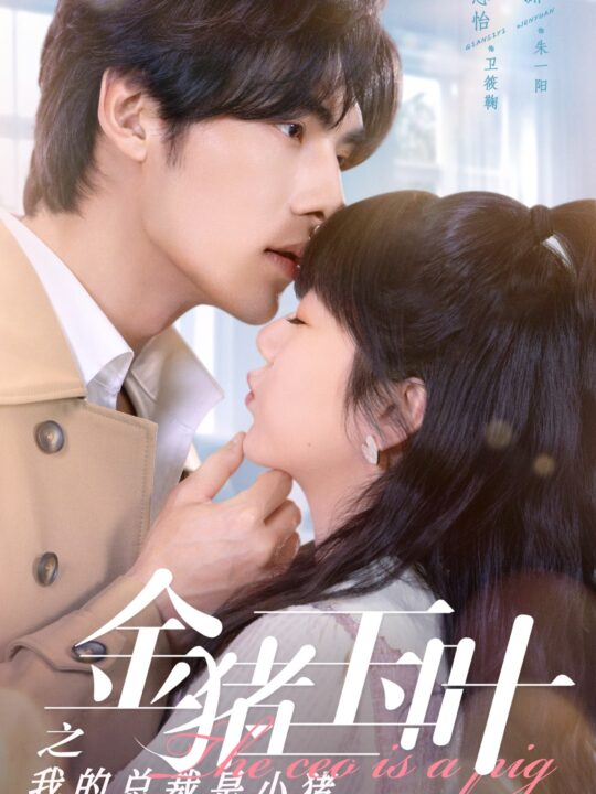 9891-金猪玉叶之我的总裁是小猪(80集)