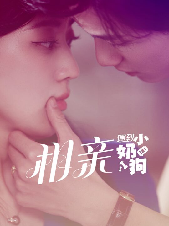 9589-相亲遇到小奶狗(80集)