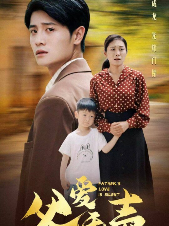 9762-父爱无声(88集)