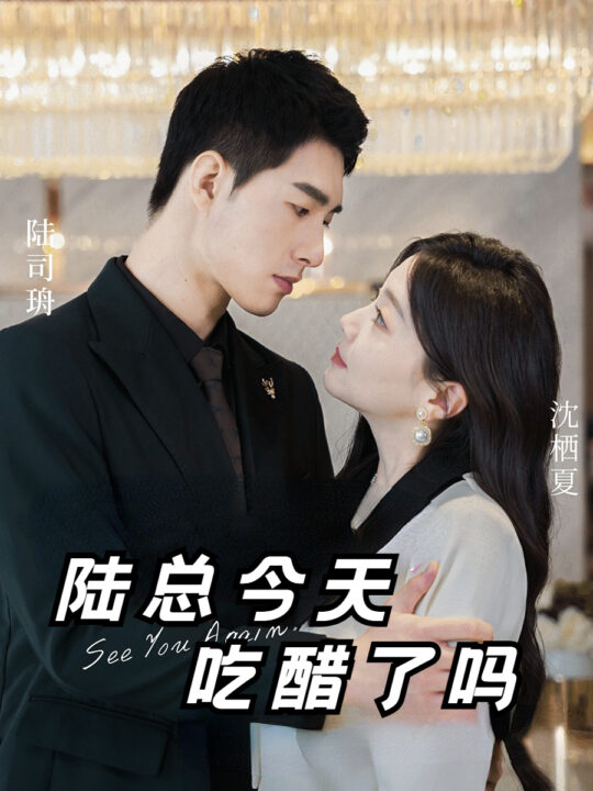 10394-陆总今天吃醋了吗(50集)