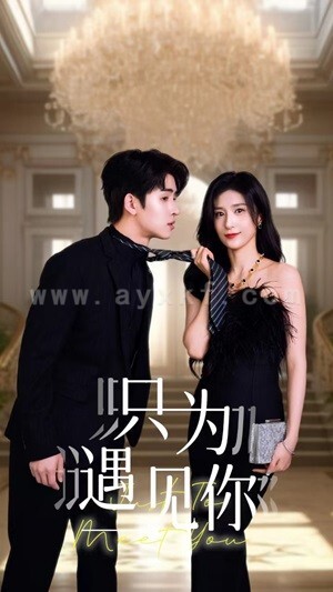 10059-只为遇见你(88集)贾博雅 内容图1 一个实时收录全网最齐全的短视频短剧网剧小剧场的网站! 10059-只为遇见你(88集)贾博雅 最新 图1张