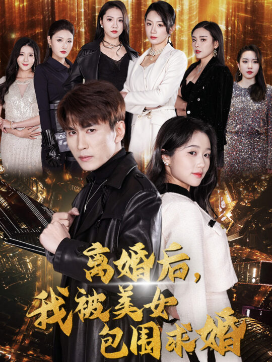 9803-离婚后-我被美女包围求婚&离婚后-走上人生巅峰(100集)岳雨婷