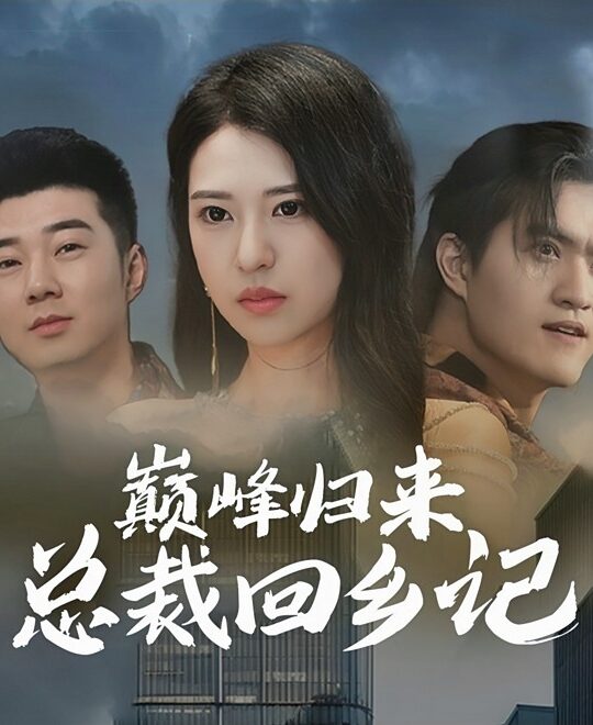 10206-巅峰归来总裁回乡记(98集)胡家荣