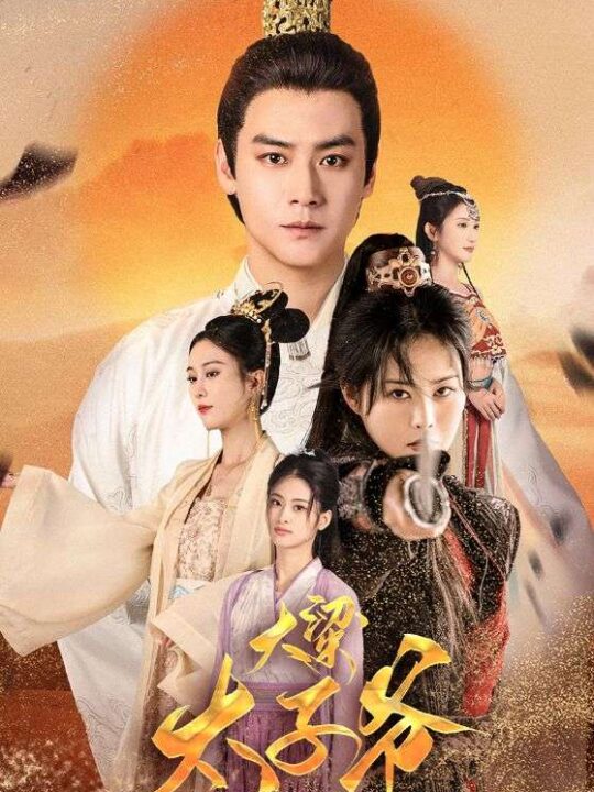 9542-大梁太子爷(90集)