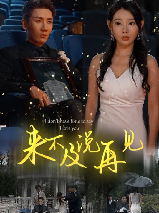 10169-来不及说再见(30集)刘博洋