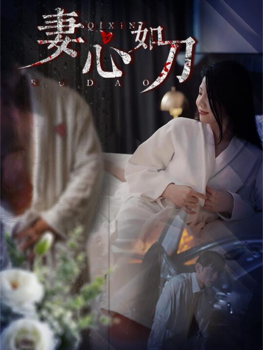 10357-妻心如刀(30集)