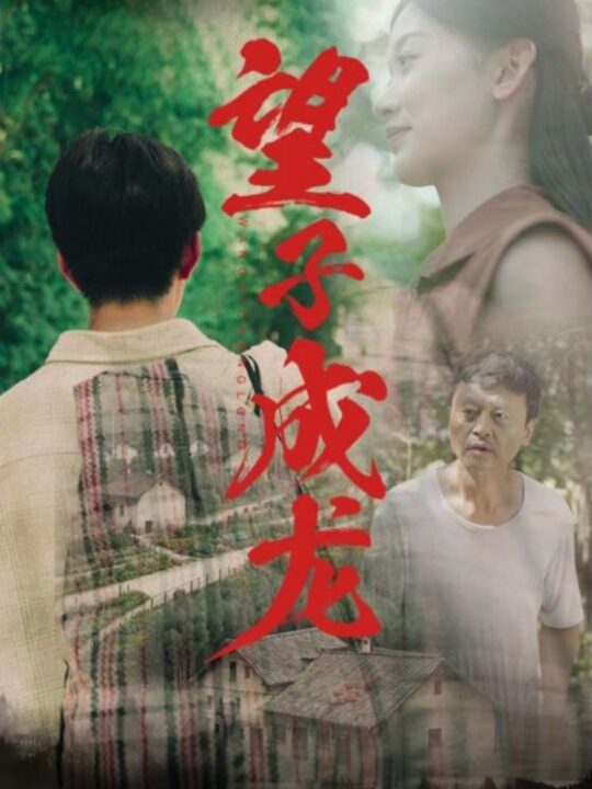 9749-望子成龙(74集)