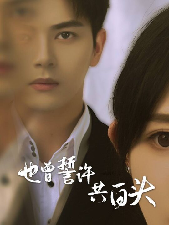 9416-也曾誓许共白头(60集)