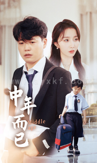 9732-中年而已(56集)