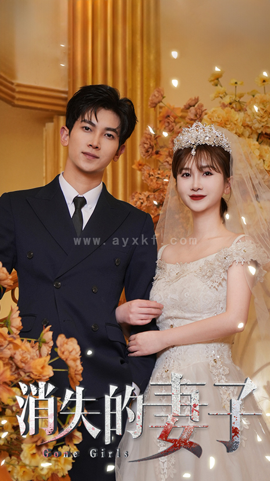 9858-新-消失的妻子(100集)王骊亚 最新 图1张