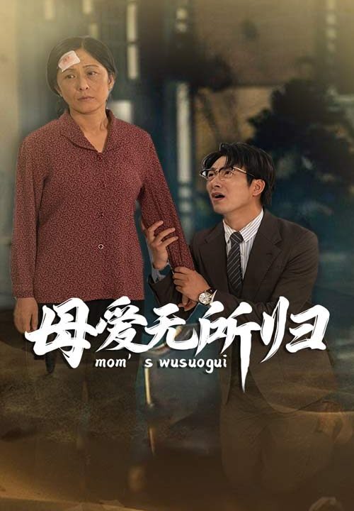 10225-母爱无所归(33集)