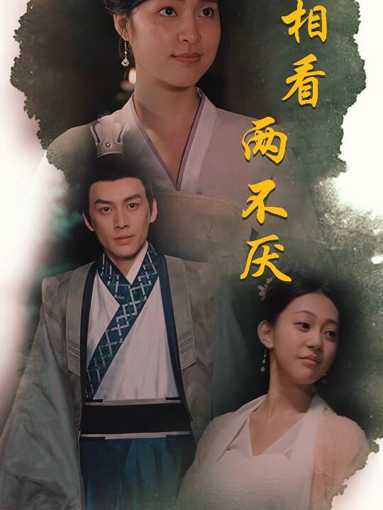 9430-相看两不厌&这个王妃不好惹(85集)