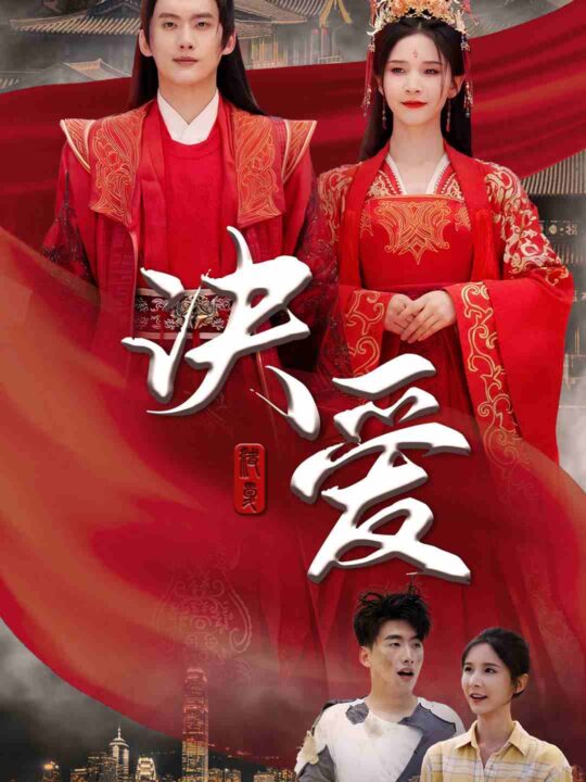 9533-决爱(78集)丁晓