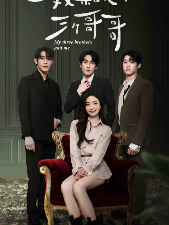 10287-我和我的三个哥哥(90集)