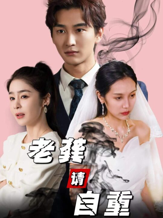 9435-老龚请自重(80集)王满婷