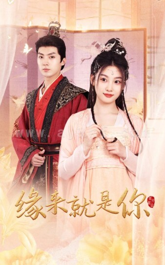 9493-缘来就是你(65集) 内容图1 一个实时收录全网最齐全的短视频短剧网剧小剧场的网站! 9493-缘来就是你(65集) 最新 图1张