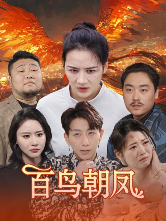 9514-百鸟朝凤(39集)王飞乔