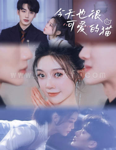 10104-今天也很可爱的猫(72集) 内容图1 一个实时收录全网最齐全的短视频短剧网剧小剧场的网站! 10104-今天也很可爱的猫(72集) 最新 图1张