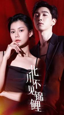 9434-北川不见锦鲤(72集)