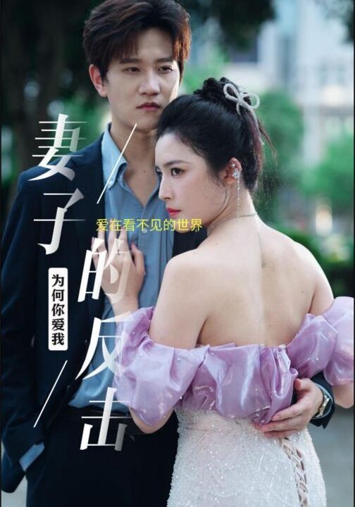 10404-新版-妻子的反击(38集)