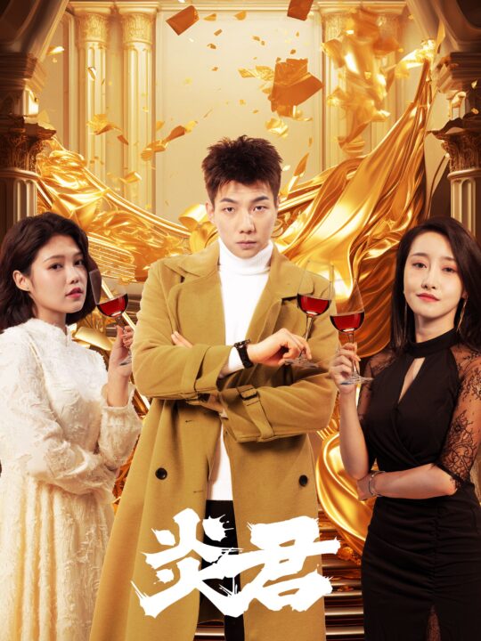 9546-炎君(85集)凌凌子