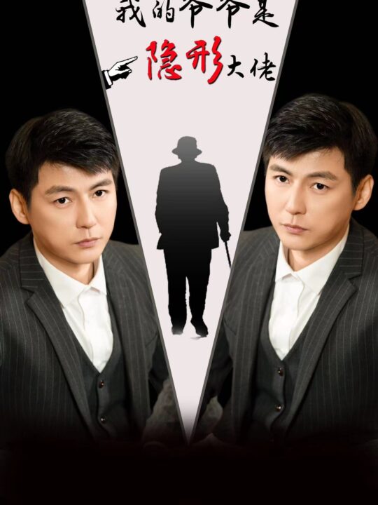 9788-我的爷爷是隐形大佬(91集)