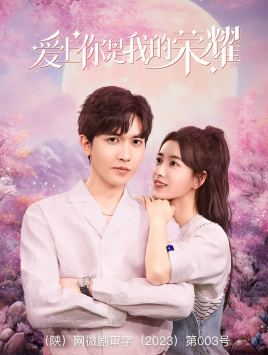 9603-爱上你是我的荣耀(57集)