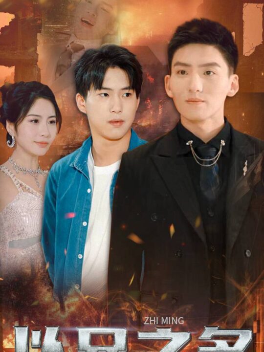 10334-以兄之名(59集)维尼