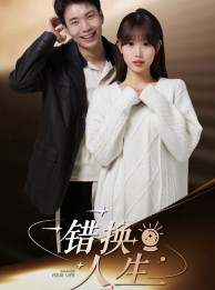 9604-错换人生(100集)