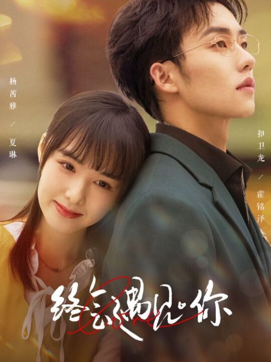 10093-终会遇见你(66集)