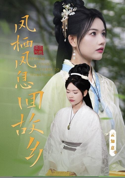 10353-凤栖凤息回故乡(36集)