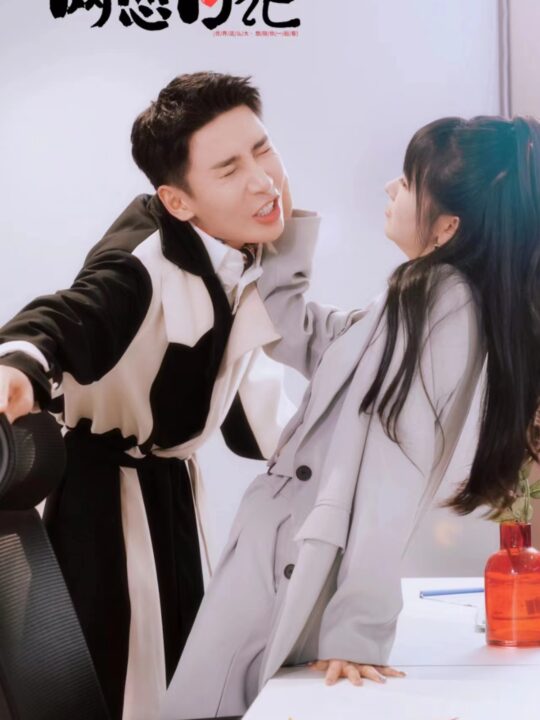 9480-我们的网恋日记(89集)