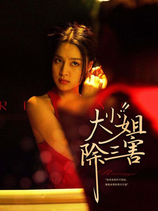 10405-大小姐除三害(59集)宋彧佳