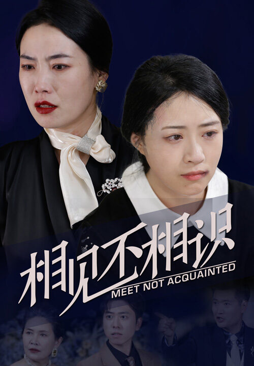 9995-相见不相识(34集)