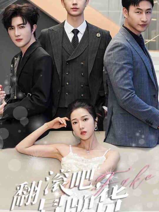 9504-翻滚吧-冒牌货(70集)