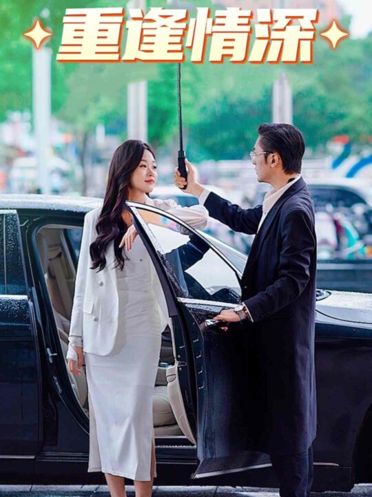 9970-重逢情深(91集)