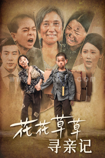 10121-花花草草寻亲记(42集) 内容图1 一个实时收录全网最齐全的短视频短剧网剧小剧场的网站! 10121-花花草草寻亲记(42集) 最新 图1张