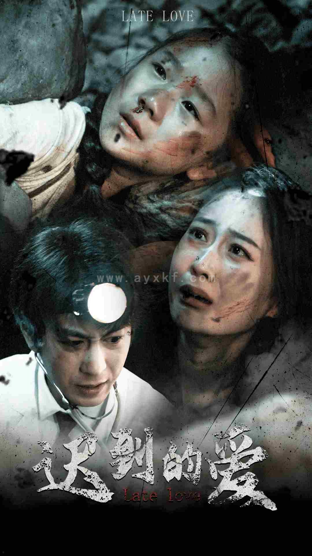 10320-迟到的爱(48集) 最新 图1张