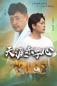 9561-天涯赤子心(60集)