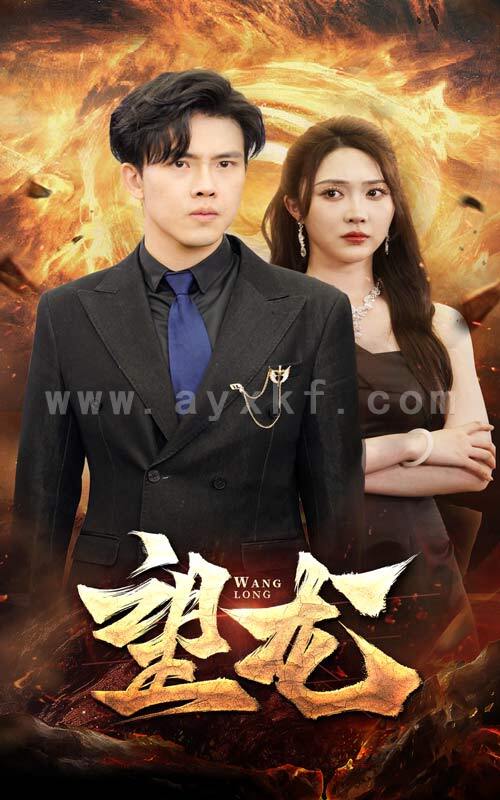 9567-望龙(72集) 最新 图1张