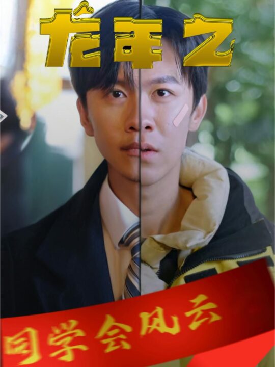 10176-龙年之同学会风云(94集)