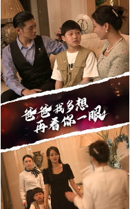 9508-爸爸我多想再看你一眼(73集) 最新 图1张