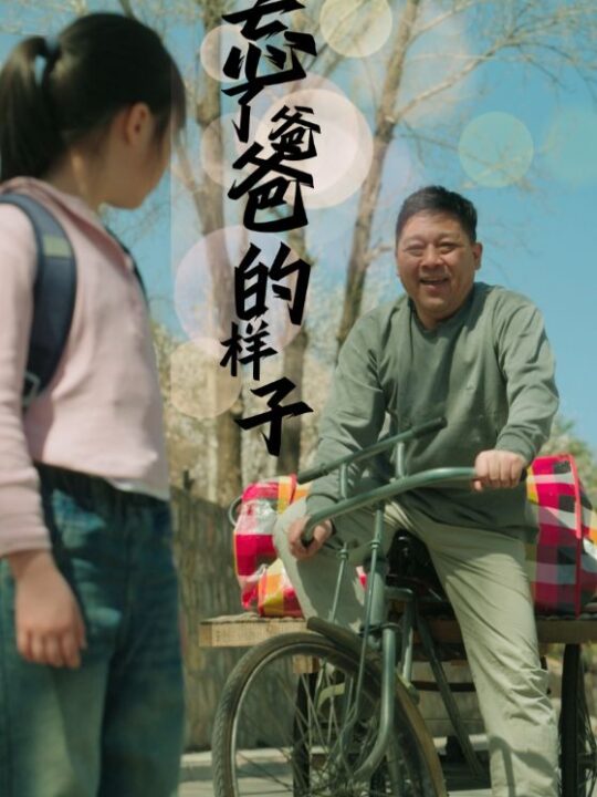 9507-忘了爸爸的样子(72集)杨景景