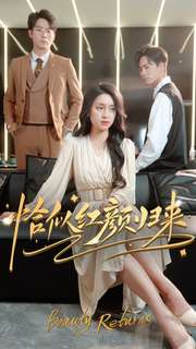 10186-恰似红颜归来(79集)