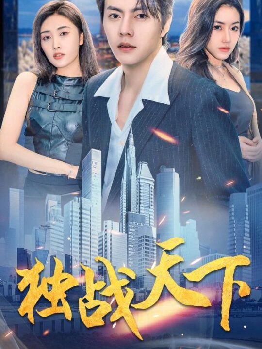 10236-独战天下(73集)辛润茜