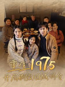 8458-重生1975开局撕毁回城调令(83集)