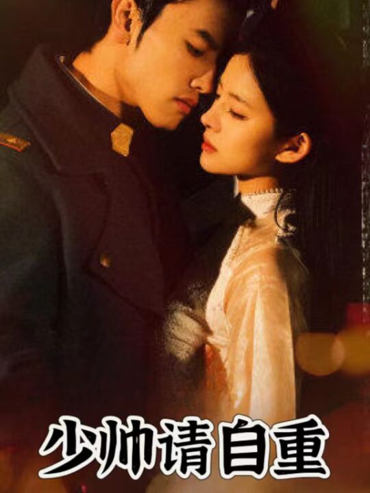 8648-少帅请自重(80集)