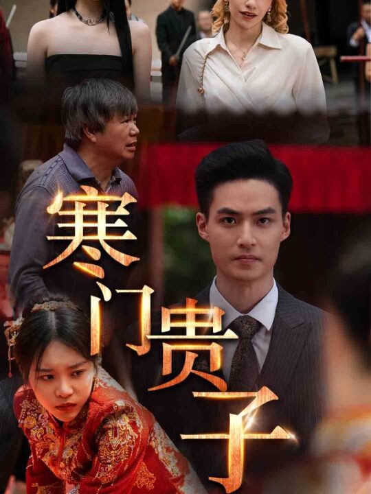 9044-寒门贵子(60集)