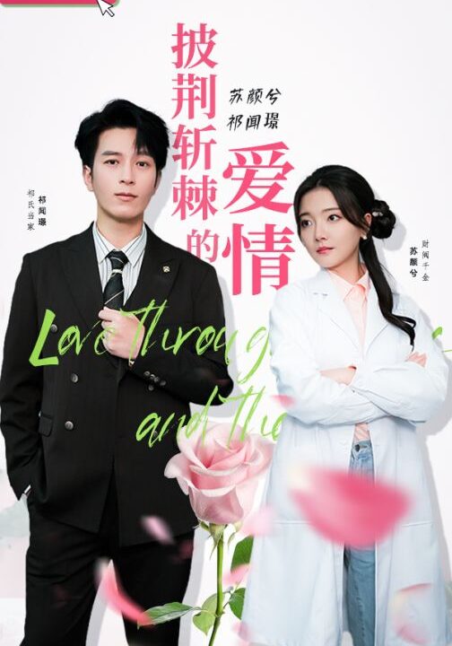 8854-披荆斩棘的爱情(90集)
